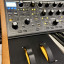 Moog Subsequent 37