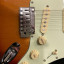 Fender Stratocaster Player Plus SSS Sunburst