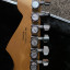 Fender Stratocaster Player Plus SSS Sunburst