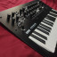 Korg Minilogue xd