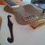 Fender Telecaster White Falcon (Edición limitada) RESERVADA