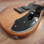 RESERVADO. Cuerpo, electronica y hardware de Partcaster