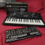 Korg Minilogue y Roland Se-02