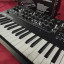 Korg Minilogue y Roland Se-02