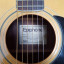 Epiphone FT 150 BARD Made in Japan