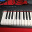 Teclado Yamaha Piaggero NP-32