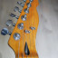 Telecaster partcaster