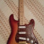 Fender Stratocaster Mexican Deluxe y Marshall MG250 DFX