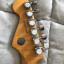 Fender Select Series Stratocaster 2013