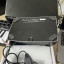 Boss DM-101