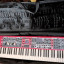 Nord Stage  4 Compact y Funda con ruedas