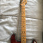 Fender Select Series Stratocaster 2013