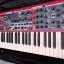 Nord Stage  4 Compact y Funda con ruedas
