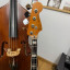 Jazz bass del 78 Fender