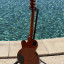 Guild Newark St. Collection Bluesbird - Iced Tea Burst