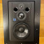 Monitores Quested V3110 en estado impecable