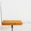Moog THEREMIN Etherwave Original