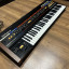 Roland Juno 60 (Midi)