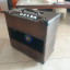George Axefive por 65 Princeton reverb
