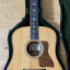 Taylor 810e DLX