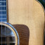 Taylor 810e DLX