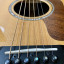 Taylor 810e DLX