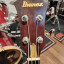 Ibanez Musician MC924