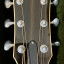 Taylor 810e DLX