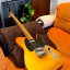 VegaRelics Telecaster Nicotine Butterscotch Old Sweat Edition con Ron Ellis Pickups