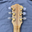 Ibanez Musician MC 500 - Natural