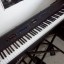 Kawai MP5 Stage Piano