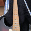 Fender Stratocaster American Standard VG Roland G5