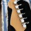 Fender Stratocaster American Standard VG Roland G5