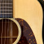 Martin D-18 Custom Shop Adirondack