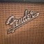 Pantalla Fender BANDMASTER 1965/ vintage