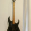 Ibanez rg350mz