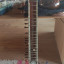 Sitar con Hardcase