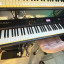 Piano RD300-NX