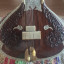 Sitar con Hardcase