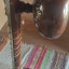Sitar con Hardcase