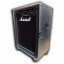 Amplificador MARSHALL 200 W + FLIGHTCASE