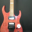 Guitarra Electrica Fine FS Series Custom 2001
