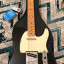 Fender Telecaster MIM Negra