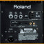 Monitor activo Roland DS90A