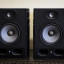Monitores Focal Alpha 65