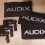 Micrófonos Audix D2