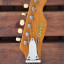 Reservada Guitarra Gibbon Telecaster Japan años 60