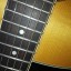 Guitarra acústica Washburn D300SW edición limitada con maderas sólidas, estuche, pastilla Shadow y extras!