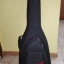 Fender player plus
