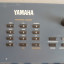 Yamaha AN1X + flightcase + envio Peninsula incl.